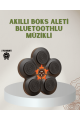 Bluetoothlu Akıllı Boks Antrenman Cihazı Işıklı Hedefli Kardiyo ve Fitness Aleti